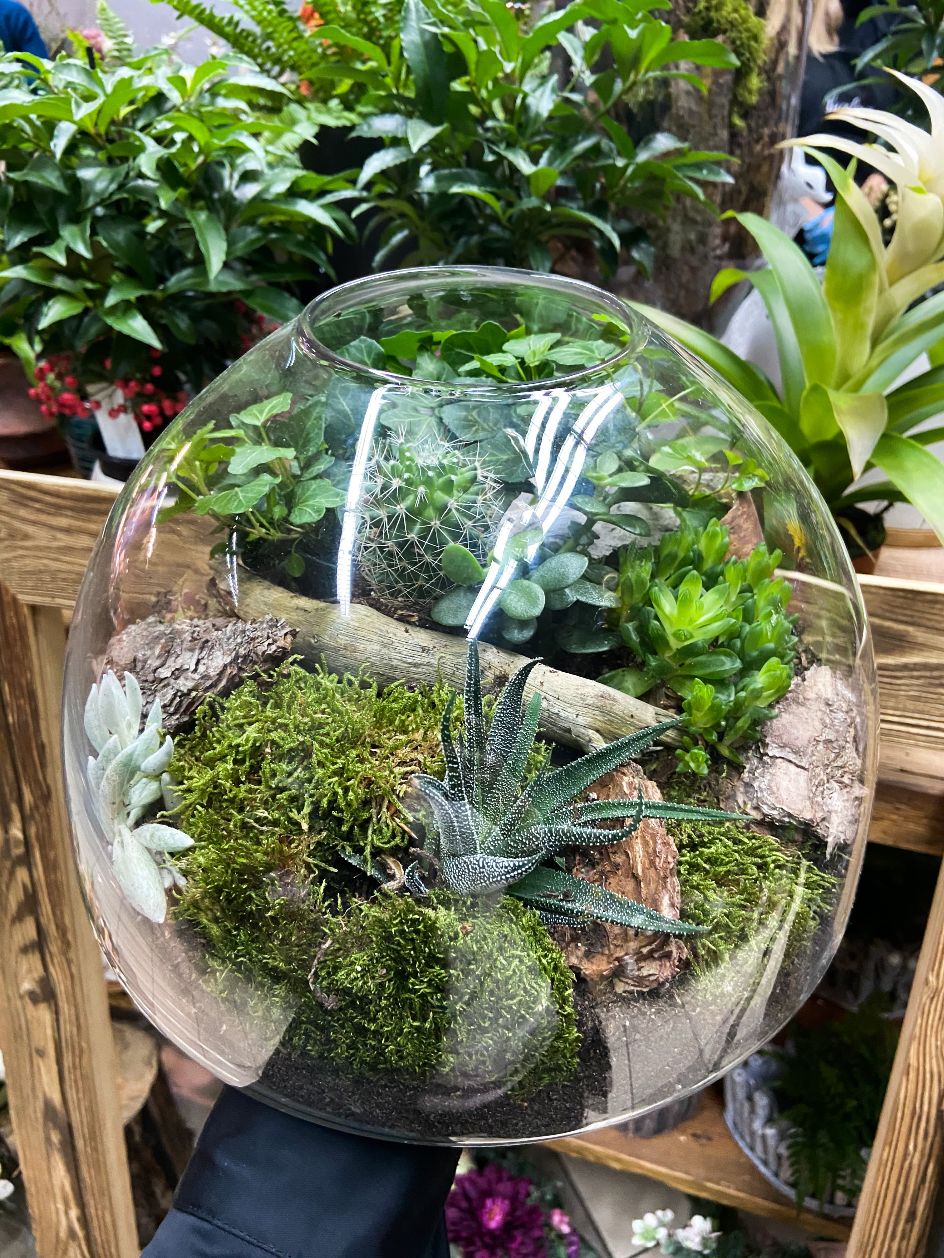 Dekoracja szklana kula z motywem lasu — dekoracje i ozdoby Kwiaciarnia Biosfera Lębork